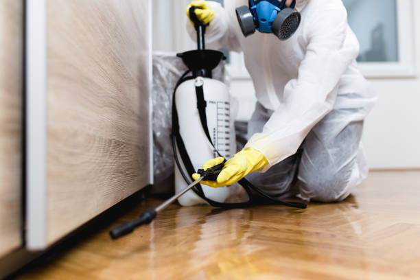 Pest Prevention Services in Daytona Beach, FL