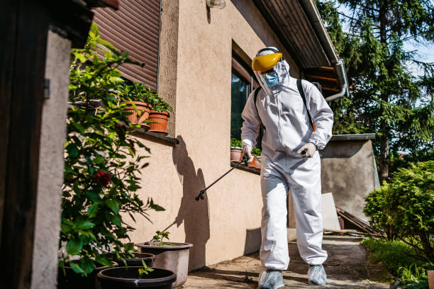 Best Mosquito Control Services  in Daytona Beach, FL