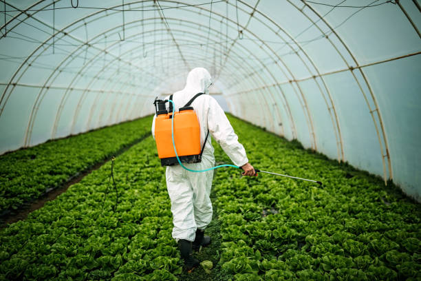 Best Mosquito Control Services  in Daytona Beach, FL
