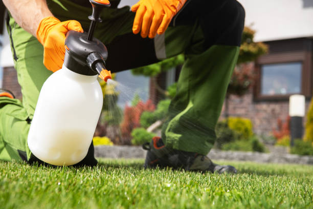 Best Mosquito Control Services  in Daytona Beach, FL