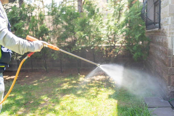 Best Best Pest Control Companies  in Daytona Beach, FL