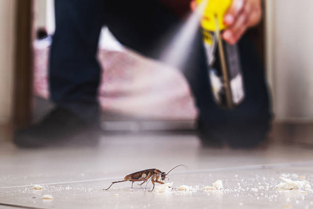 Best Cockroach Control Services  in Daytona Beach, FL